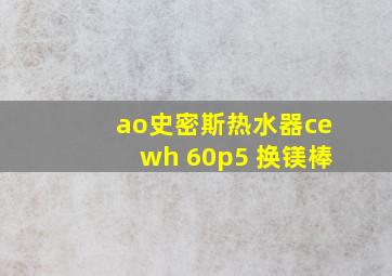 ao史密斯热水器cewh 60p5 换镁棒